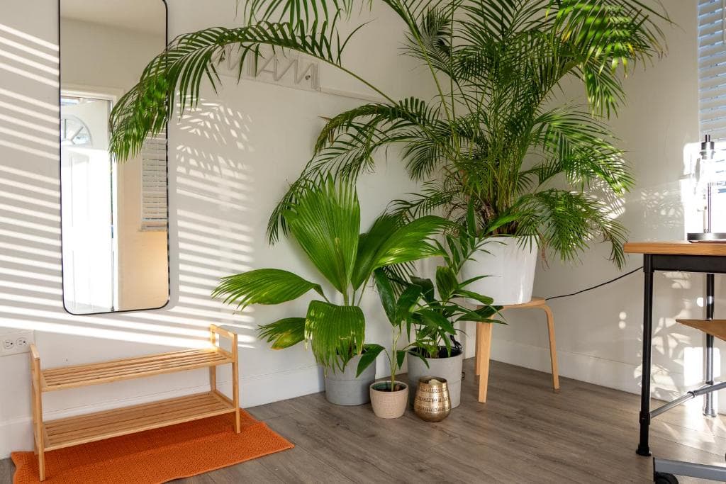 Casa MIA central location, free parking, fully equipped in Miami (FL), United States