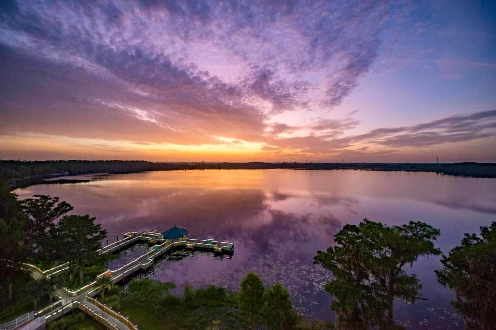 Balcony King Suite - Lake & Pool view in Orlando (FL), United States