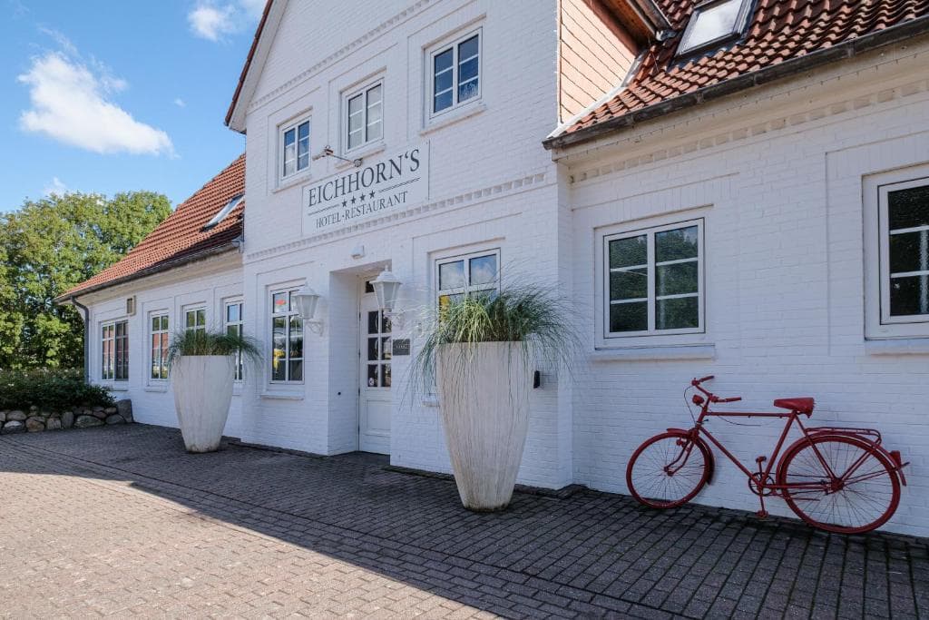Eichhorns in Risum Lindholm, Germany
