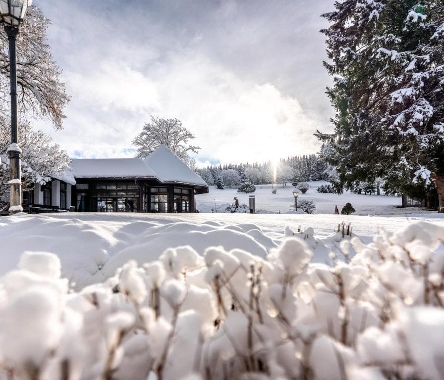 Hotel Zum Ochsen in Schonwald, Germany