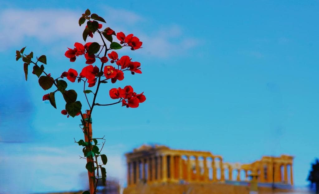 Absolute Athens Acropolis View in Athens, Greece