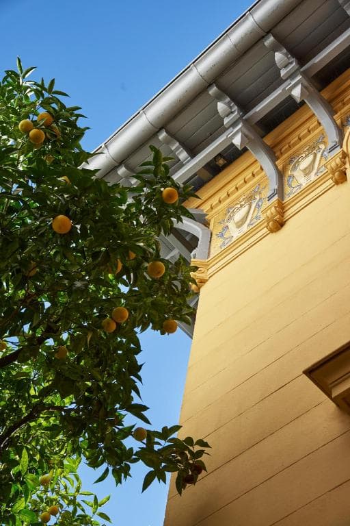 Maison des Barons in Nice, France
