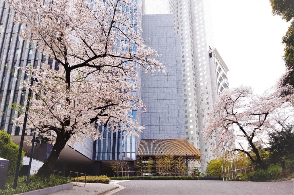 The Capitol Hotel Tokyu in Tokyo, Japan