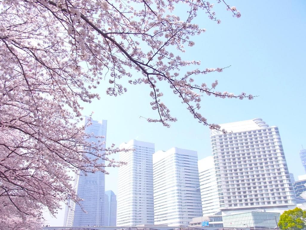 The Yokohama Bay Hotel Tokyu in Yokohama, Japan