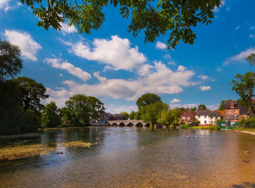 Chevrons Living in Fordingbridge, United Kingdom