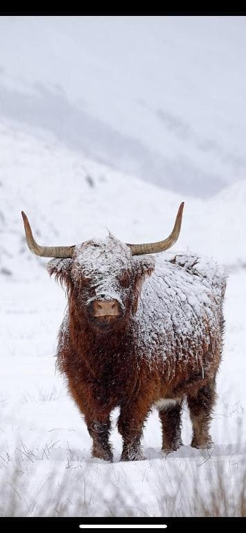 Ben Nevis Manor Lodge & Indoor Private Hot-Tub in Fort William, United Kingdom