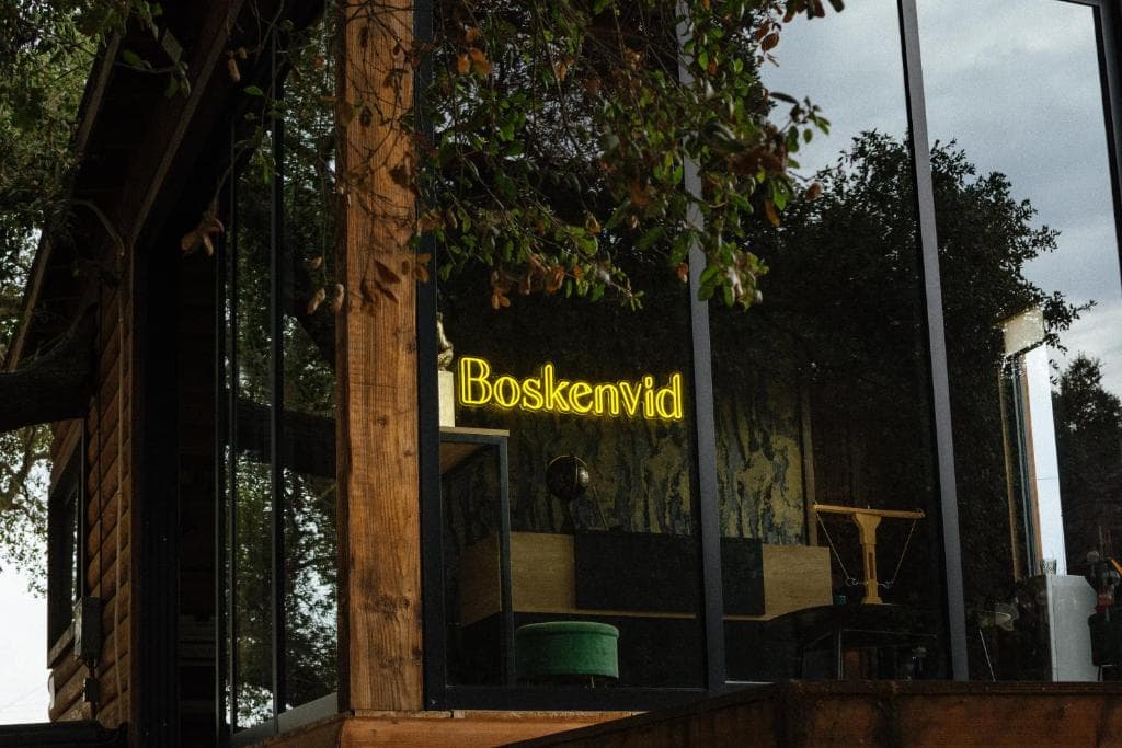 Boskenvid Hotel - Romantic Treehouses & Skypool in Ensenada, Mexico