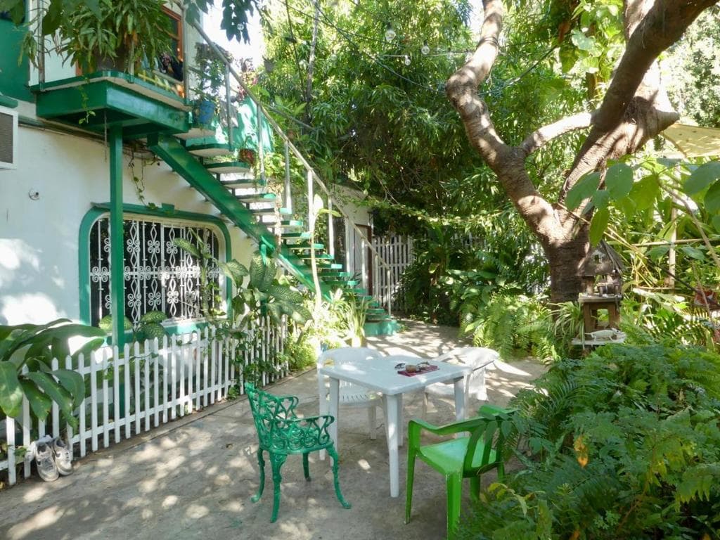 Jungle Palace hostel santaella in Puerto Escondido, Mexico
